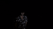 Youtube Film GIF