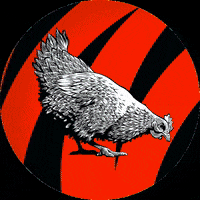 henofthewoodssnacks cincinnati bengals who dey hen of the woods GIF