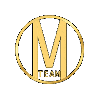 onemillionteam logo team networking million Sticker