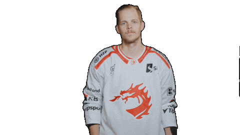 Trinec Sticker by HC Oceláři Třinec