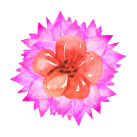 Flowers Flores Sticker by JK Shopping DF