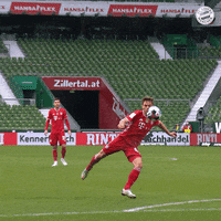 Champions League Reaction GIF by FC Bayern Munich