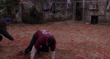 friends tv GIF