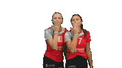 tbasvvolleyball volleyball damen1 tbasv tbasvregenstauf Sticker