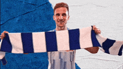 Berlin Schwenken GIF by Hertha BSC