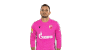 Celebrating Red Star Sticker by FK Crvena zvezda