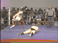 superstars of wrestling GIF
