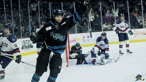 Happy Fired Up GIF by Quad City Storm