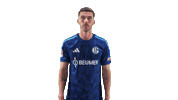 Schalke 04 Football Sticker by Bundesliga