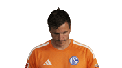 Look Up Schalke 04 Sticker by Bundesliga