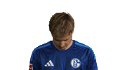 Look Up Schalke 04 Sticker by Bundesliga