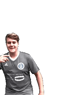 Vfb1919vacha football soccer goal fussball Sticker