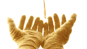 stop motion animation GIF