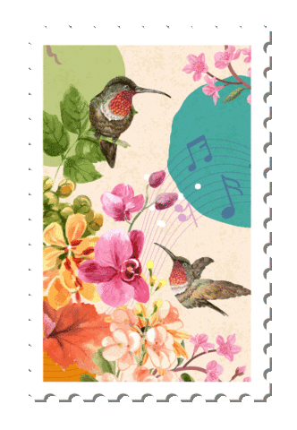 Turismo Aves Sticker by El Tortugazo