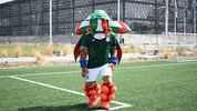 mexico seleccion mexicana GIF by MiSelecciónMX