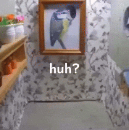 Shocked GIF