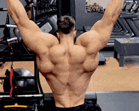 Mr Olympia Fitness GIF