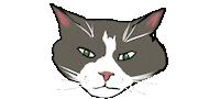 Cats Catlove Sticker by Andrew torralvo