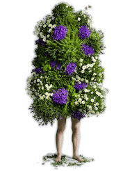 Nationalparkgarten Sticker by GLOBAL 2000