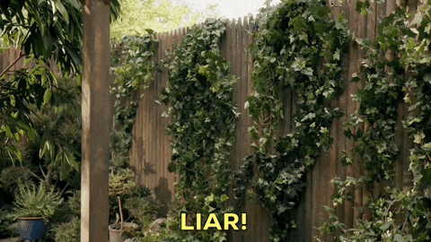 Lying Liar Liar GIF by CBS