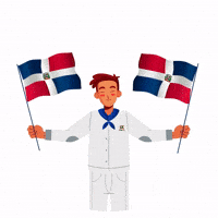 Dia De La Independencia Dominicana GIF by RK Power