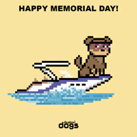 Excited Do It GIF by Doginal Dogs