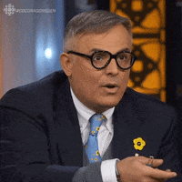 Vincenzo Guzzo Mrsunshine GIF by CBC