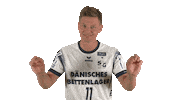 Handball-Bundesliga Fun Sticker by LIQUI MOLY HBL