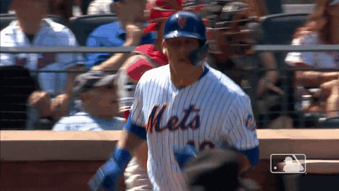 Happy Ny Mets GIF by New York Mets