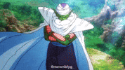 Dragon Ball Super Broly Piccolo GIF