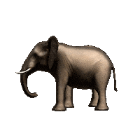 Walking Africa Sticker by GT8Studios
