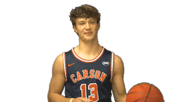 Carson Newman Spinning Sticker by Carson-Newman Athletics