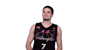 Sport Basketball Sticker by BC Athletic