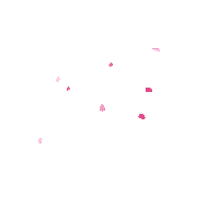Rose Petals Sticker by Tuğçe Çeğil