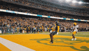 Baylor Bears Sic Em GIF by Baylor Athletics