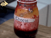 hyperrpg weird twitch rpg zoom GIF