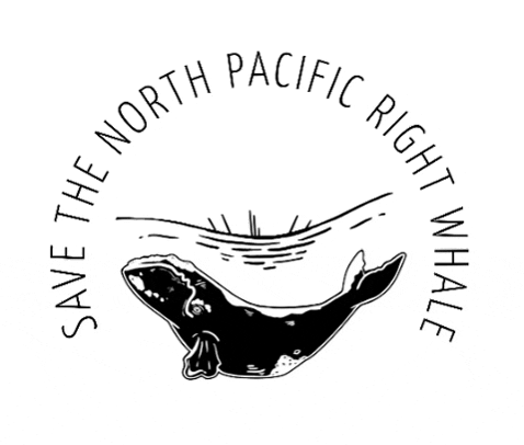 nprightwhale giphygifmaker whale conservation whales GIF