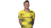 happy borussia dortmund Sticker by Bundesliga