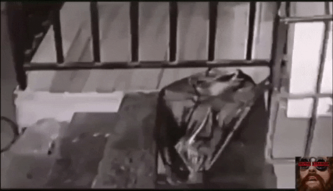 ruddbs0769 giphygifmaker GIF