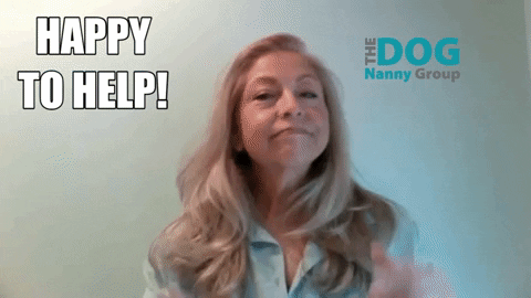 Happy To Help GIF by Marinette DOG Nanny