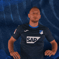Sport Bundesliga GIF by TSG Hoffenheim