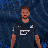 Sport Bundesliga GIF by TSG Hoffenheim