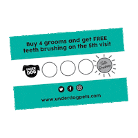 UnderdogPet reward loyalty rewards underdog Sticker