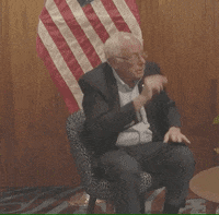 Feel The Bern Art GIF by Bernie Sanders
