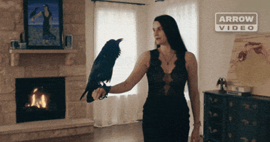 Church Of Satan Pet GIF by Arrow Video