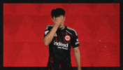 Eintracht Frankfurt Football GIF by Bundesliga