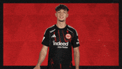 Eintracht Frankfurt Hello GIF by Bundesliga