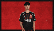 Eintracht Frankfurt Yawn GIF by Bundesliga