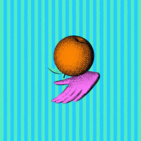 Orange Fruit Pink GIF by abj.world
