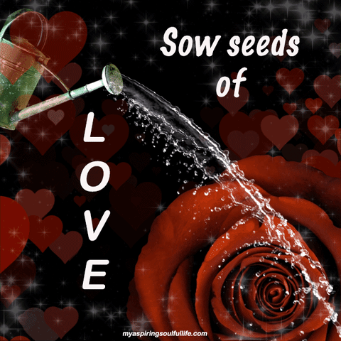 water love GIF